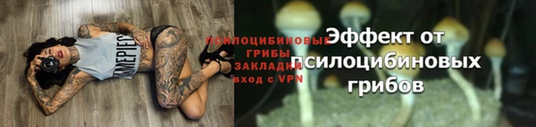 хмурый Богородицк
