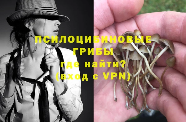 дурь Богородск