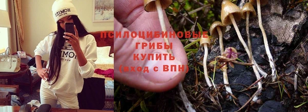 хмурый Богородицк