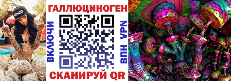купить   Верхний Уфалей  Псилоцибиновые грибы MAGIC MUSHROOMS 