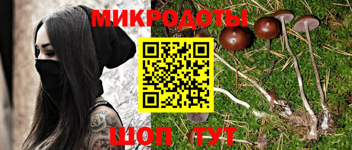 Псилоцибиновые грибы мицелий  продажа наркотиков  Верхний Уфалей  Вход с VPN 