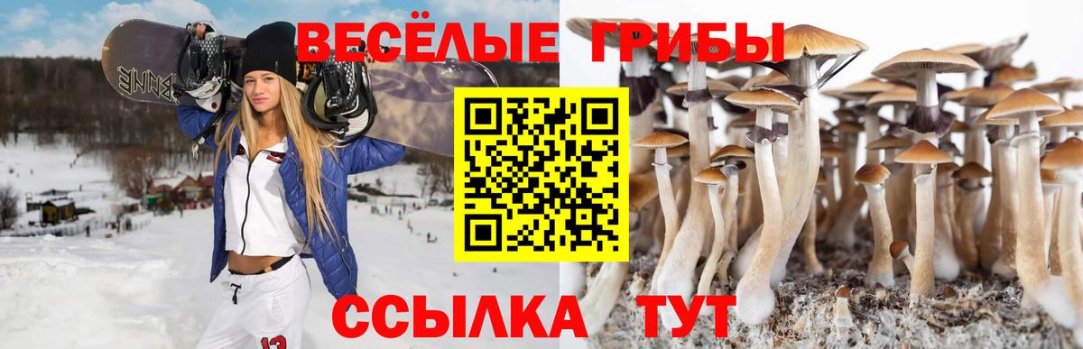 Псилоцибиновые грибы GOLDEN TEACHER Верхний Уфалей